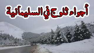 تساقط #ثلوج في #جبل أزمر مدينة #السليمانية Snowfall in Sulaymaniyah (Mount Azmar)