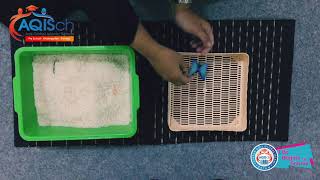 SENSORY PLAY - Finding animal treasure inside the rice