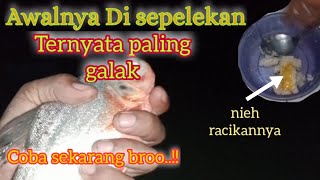 Awalnya Umpan ini Disepelekan,,Lihat..!!ternyata paling gacor,umpan bawal harian paling jitu