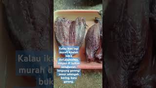 ikan asin kacalang/tongkol