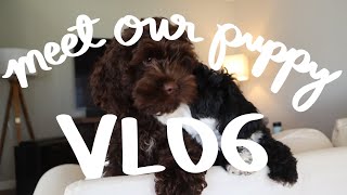 Meet our new puppy! baking, & lazy day | VLOG