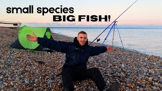 Dungeness Night Fishing in SUB-ZERO TEMPERATURE! Uk sea fishing