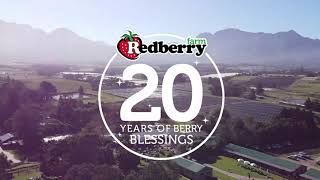 Redberry Farm: 20 Years of Berry Blessings - From then to Now