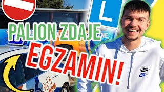 Palion zdaje egzamin na prawko! Zda za pierwszym?