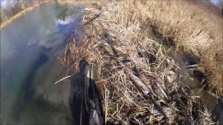 Big Beaver dam East Point Park