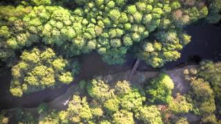 john chestnut park kite aerial photography time lapse [2012.03.23]