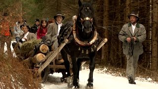 "Holz Fuhrwerken" alte Tradition wiederbelebt in Nölbling