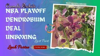 Unboxing Carmela Orchids NBA Playoff Dendrobium Deal Part 3 || #mylittlejungle #orchids #wildlife