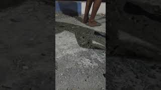 Straik ikan cendrow dan cumi,,😱😱😱#vidioshort #mancing #viralvideo