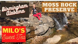 Birmingham, AL - Milo's Sweet Tea + Moss Rock Preserve | Solo Female Van Life