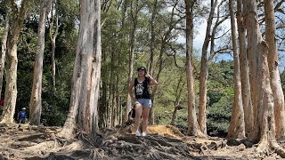 🔴SHING MUN RESERVOIRS PAPER BARK TREES||HARVEY VLOG HONGKONG