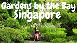 We visited the famous GARDENS BY THE BAY, SINGAPORE │ My Travel Journal