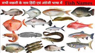 Fish Name Hindi and English Mein With Pictures | Machhali ke naam | Fish Names | मछली के नाम हिंदी