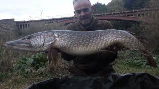 river severn pike