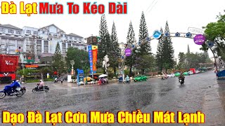 Đà Lạt Mưa To Kéo Dài, Dạo Mưa Mát Lạnh 19°C Đẹp LÃNG MẠN