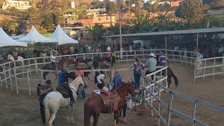 Aparte de bois! Exposição de São Fernando Muriaé MG!(1)