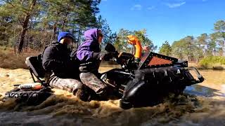 Polaris playing in the water