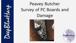 Peavey Butcher: Survey of PC Boards