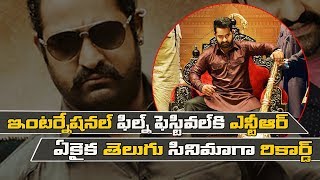 NTR Vs Vijay  in South Korea Film Festival II NTR Jai Lavakusa Movie II Tarak