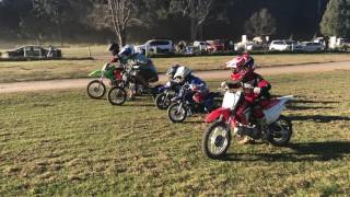 Pacific Park Mini Pitbike Race