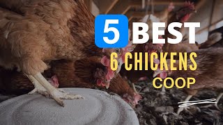 ⭕ Top 5 Best Chicken Coop for 6 Chickens 2023 [Review and Guide]