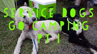 Service Dogs go camping pt1