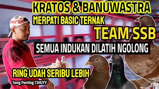 KRATOS DAN BANUWASTRA SEBAGAI BASIC TERNAK, POKOKNYA INDUKANNYA TEAM SSB HARUS PADA NGOLONG - PART 2