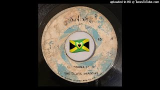 the Tropic Shadows - I'm Gonna Move