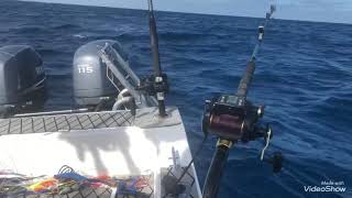 Deep Dropping & Wahoo Fishing(Belize)