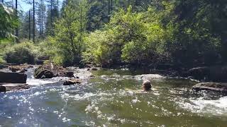 Below duck lake falls