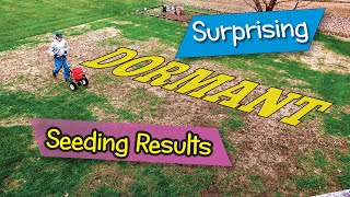 Surprising Fall Dormant Seeding Results