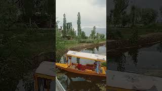 middle of Dal Lake