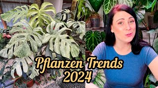 Diese Pflanzen werden 2024 besonders beliebt | Alocasia, Monstera, Philodendron und Anthurium