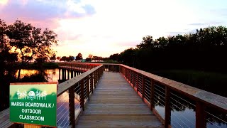 Boardwalk through a Marshland