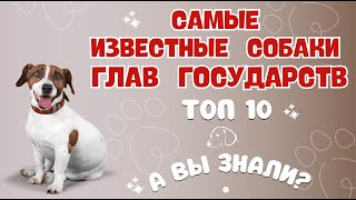 ТОП 10. Самые известные Собаки Глав государств.