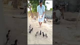 Beautiful#video #viral