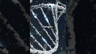 New Gene Discovery Could Extend Human Lifespan!