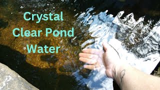 Simple DIY Garden Pond -Algae Free Using No Harsh Chemicals |