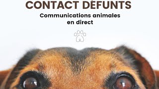 Contacts animaux défunts en direct