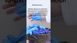 How to Get Rid of Pet Hair | Easy Natural Tips for Pet Hair Removal from Furniture & Fabrics