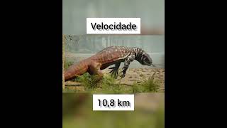 MEGALANIA O MAIOR LAGARTO DE TODOS OS TEMPOS