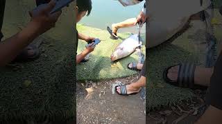 Nhưng điểm câu không thể phai #maifishing 👈