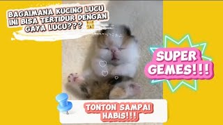 B4ga1mana kuc1ng lucu ini bis4 tert1dur deng4n g4ya lucu?? 🙀 Tonton s4mpai h4bis 😽