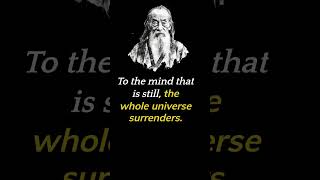 The Still Mind: Lao Tzu's Secret to Peaceful and Prosperous Life #shorts #quotes #laotzu #meditation