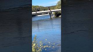 Paris Ontario #shortsfeed#nature#subscribe#shorts#short#shortvideo#shorts viral#fall#family#falls