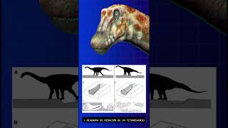 descubrieron 256 huevos de Titanosaurio | Jurassictube Express | #shorts #tiranosaurus #sauropodos