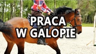 Galop w pełnym siadzie - jak pracować w galopie?