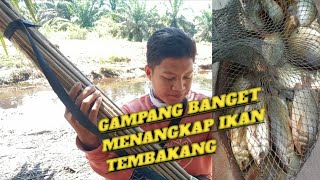 CARA AMPUH MENANGKAP IKAN TEMBAKANG / IKAN BIAWAN DENGAN MUDAH