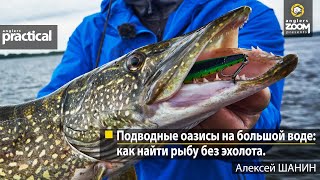 Подводные оазисы на большой воде: как найти рыбу без эхолота. Алексей Шанин. Anglers Practical