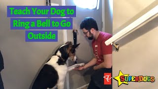 Teach Your Dog To Ring A Bell | Dog Training